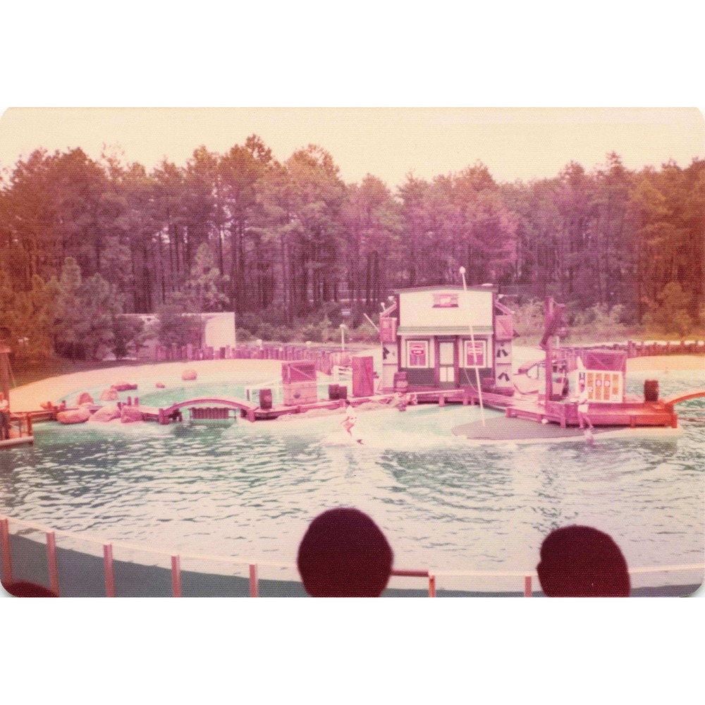 Vintage 1970s Six Flags Great Adventure Orca Water-Ski Show Photo Lot of 11 - Picture 3 of 11